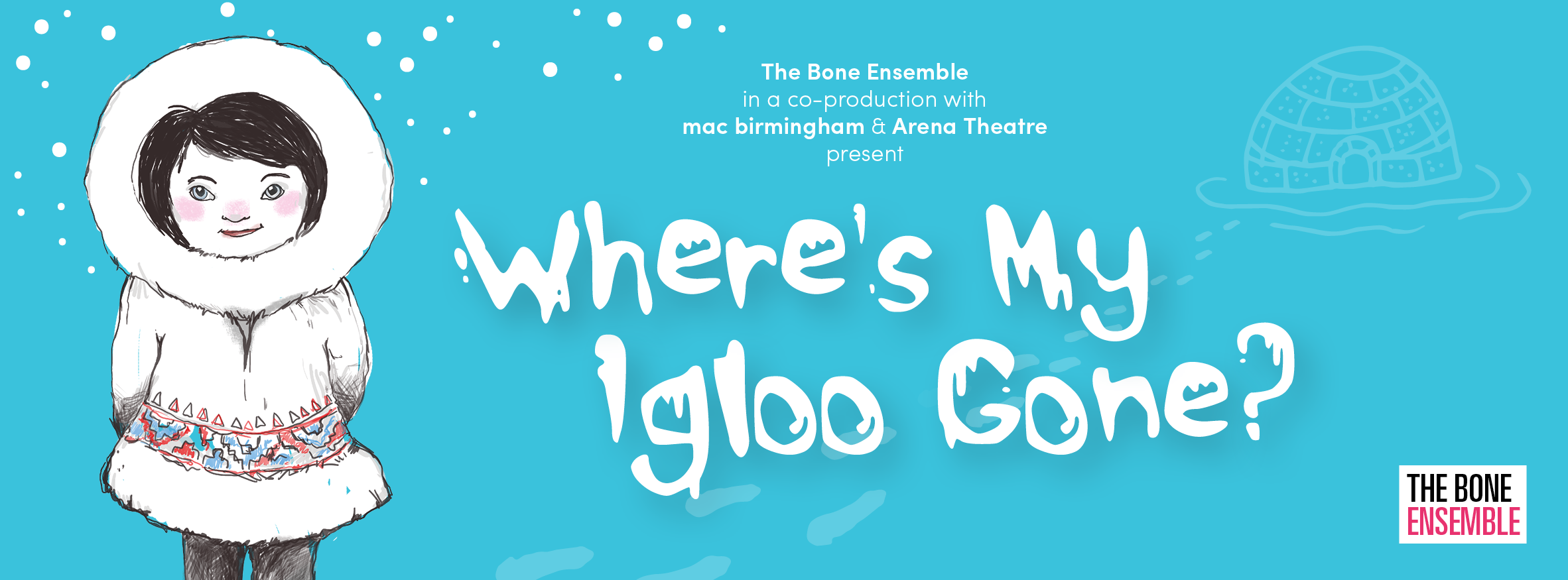 Where's My Igloo Gone? promotional banner