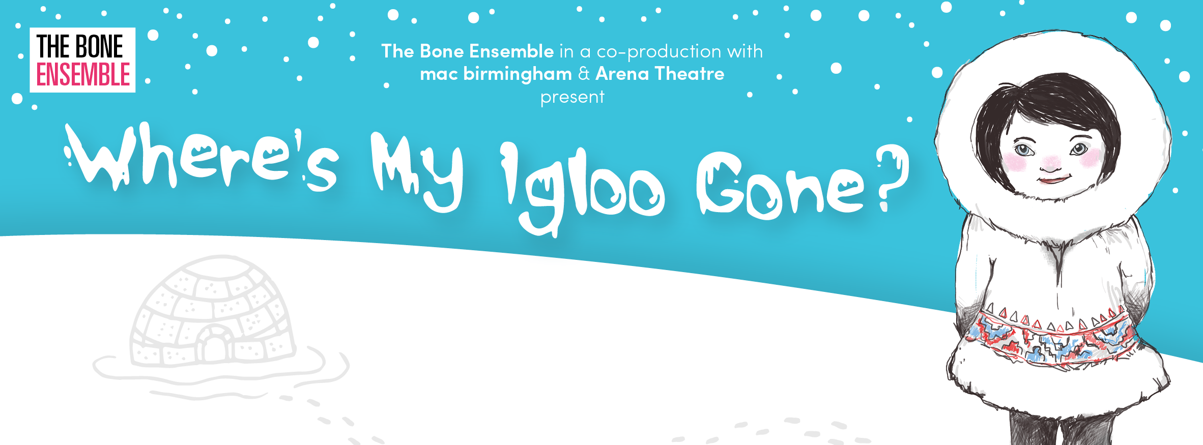 Where's My Igloo Gone? promotional banner